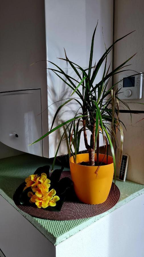 Apartement *Harzblick* Nordhausen Dış mekan fotoğraf